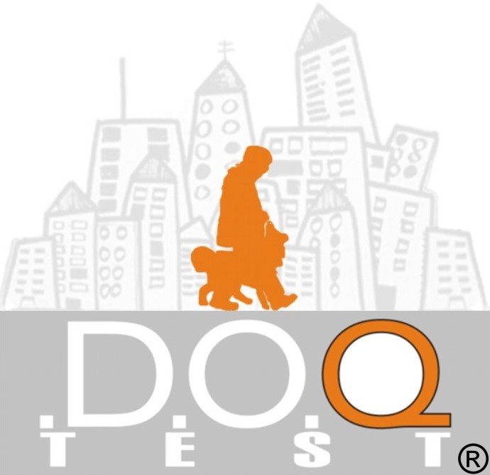 D.O.Q.-Test-2.0-Logo